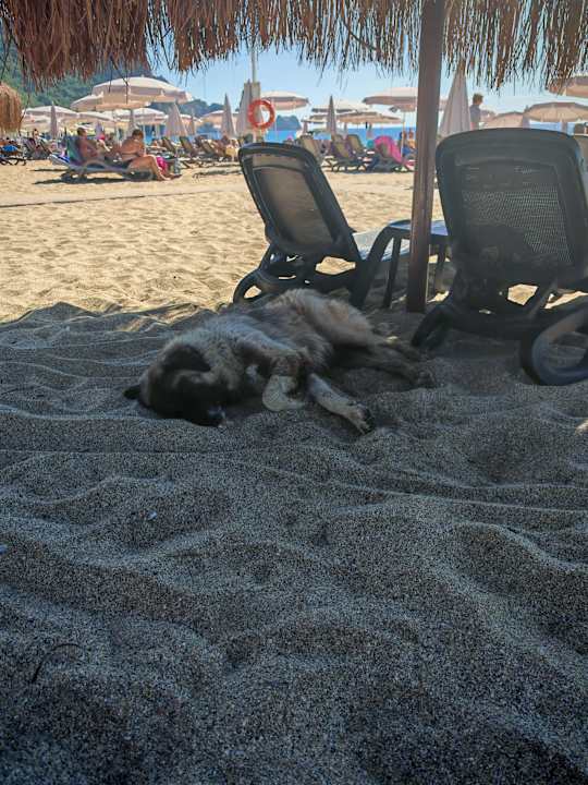 Strand Hotel Grand Okan