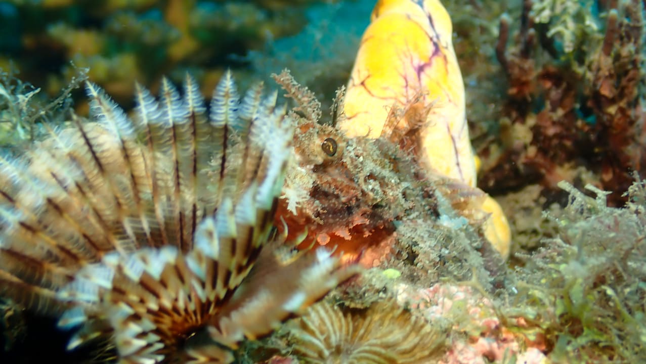 Strand Kawayan Holiday Resort