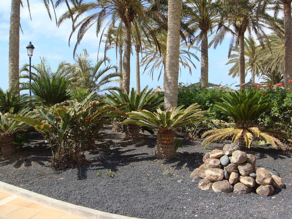 Gartenanlage SBH Costa Calma Beach Resort