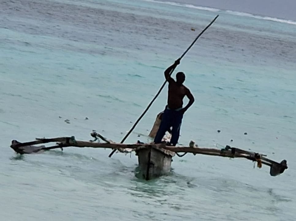 Sonstiges TUI Blue Bahari Zanzibar