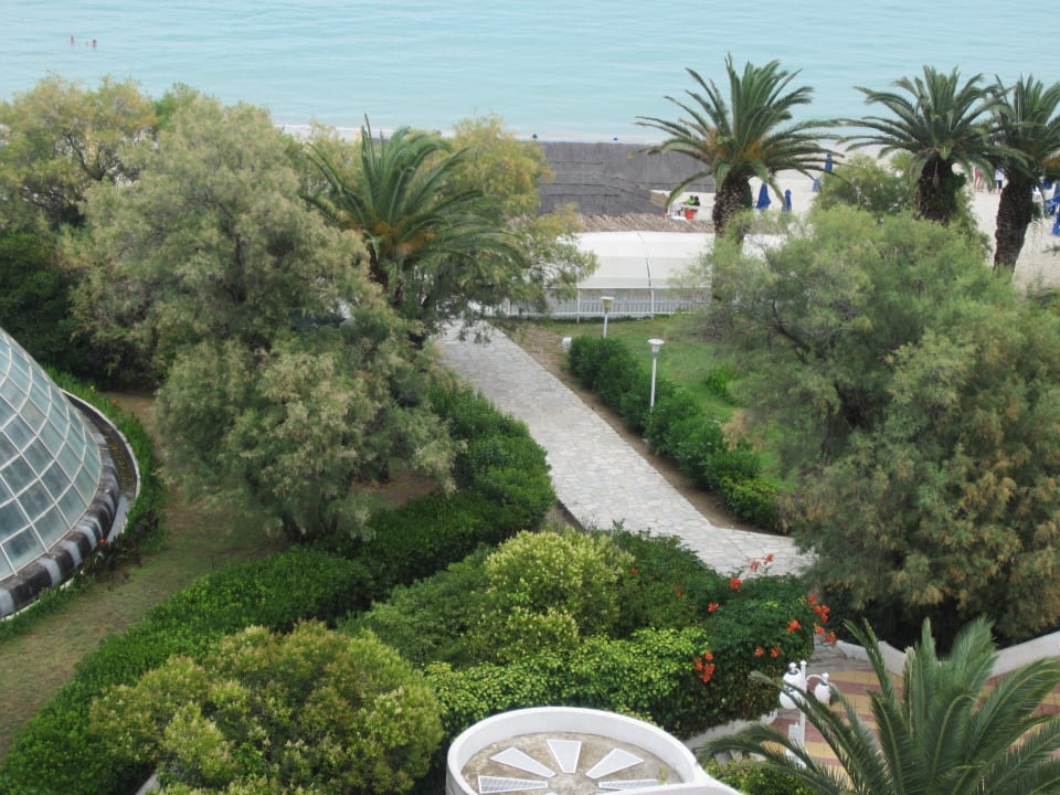 Вид из номера Pallini Beach Hotel