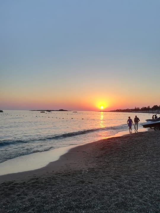 Strand Arycanda Kirman Premium