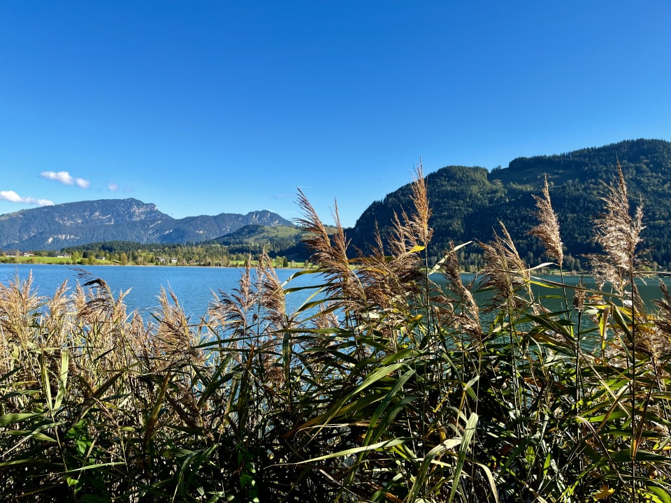 Gartenanlage Hotel Bellevue am See