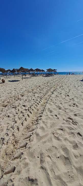 Strand Sentido Phenicia