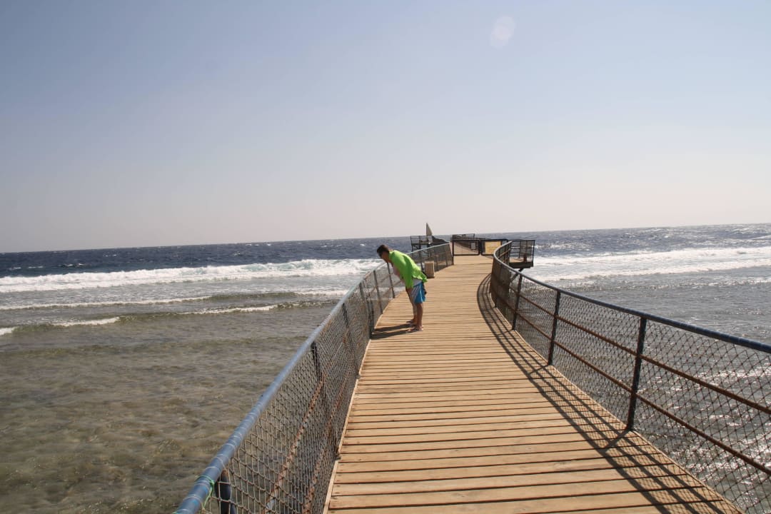 Steg zum Riff Pickalbatros Palace Hotel-Port Ghalib