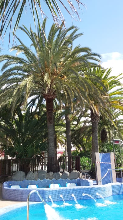 Pool Hotel Riu Palace Maspalomas Adults Only