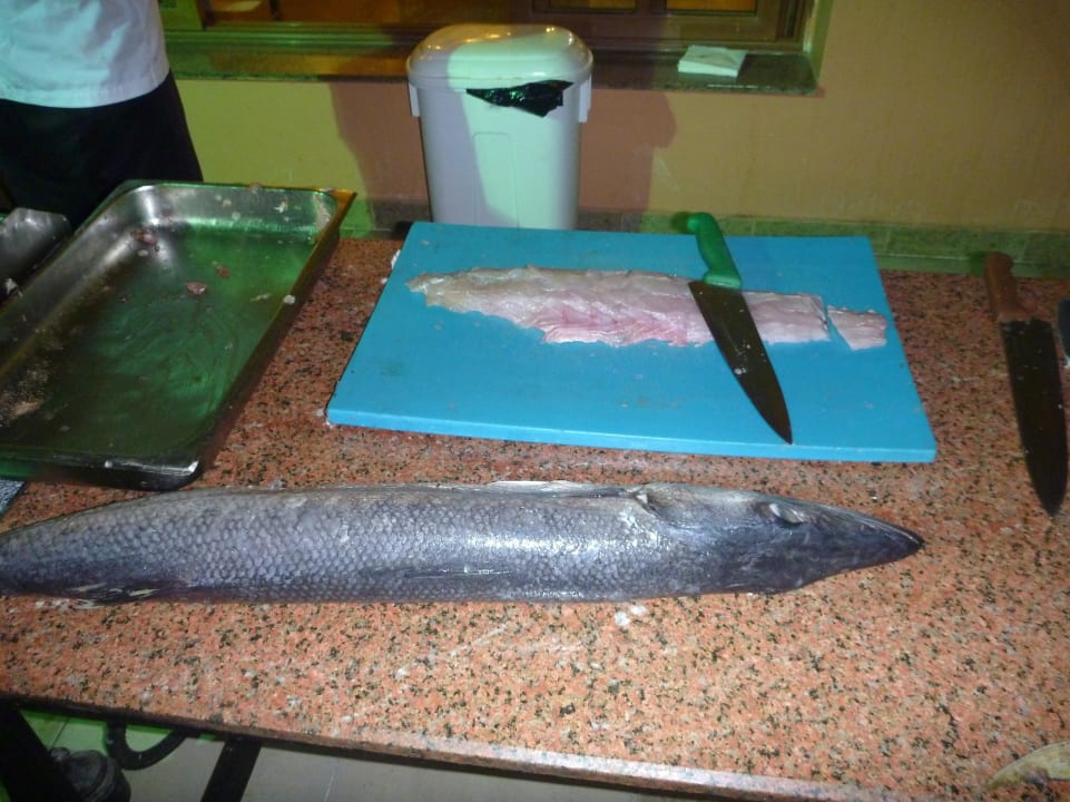 Fisch vor dem Grillen Beach Albatros Resort