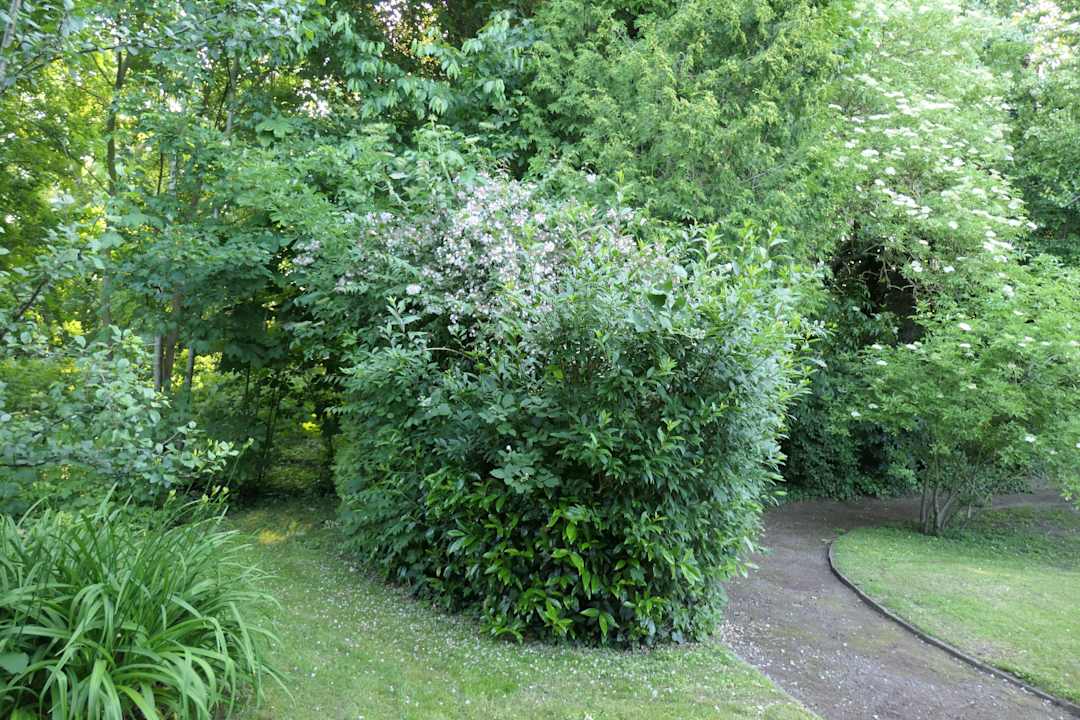 Gartenanlage Architektenhaus am Pewsumer Tief