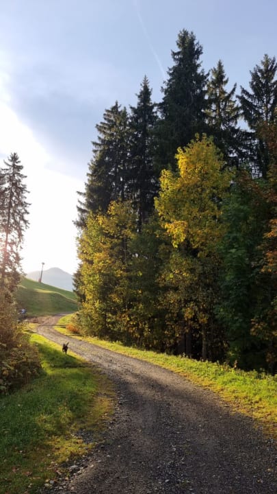 Ausblick Hotel Müllneralm - das Hundeparadies
