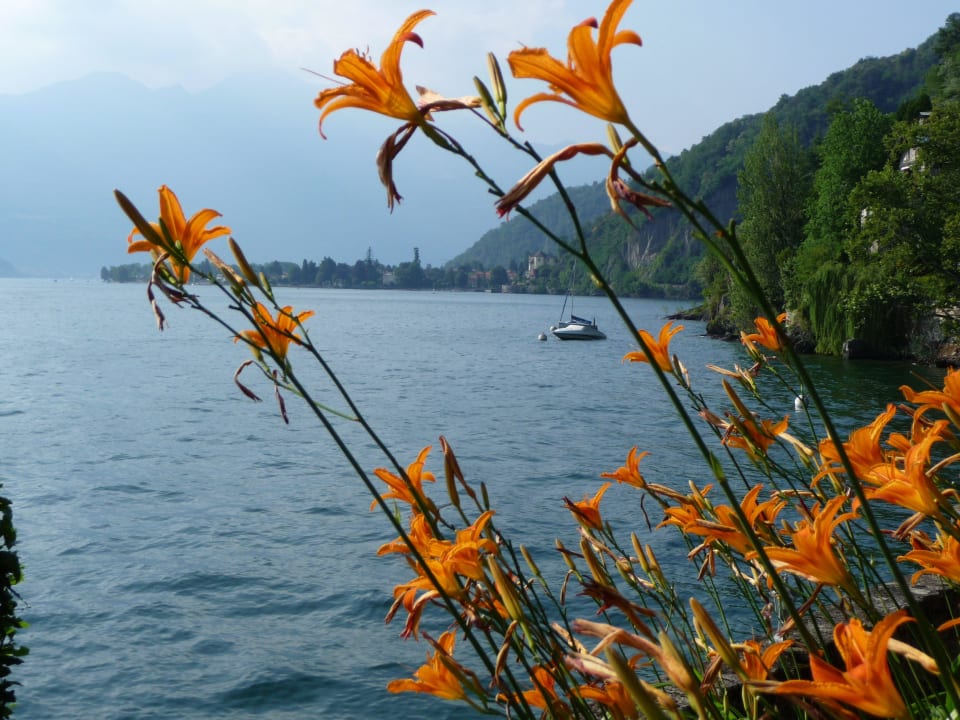 Vom Garten auf den See Relais Villa Porta