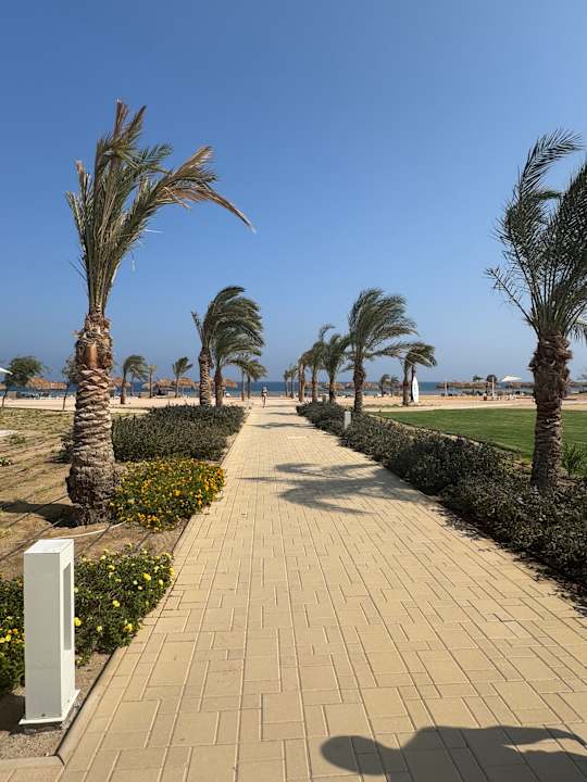 Ausblick SUNRISE Anjum Resort Marsa Alam