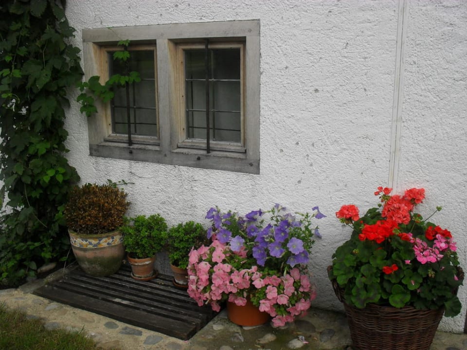 Impressionen Hagerhof - Chiemsee