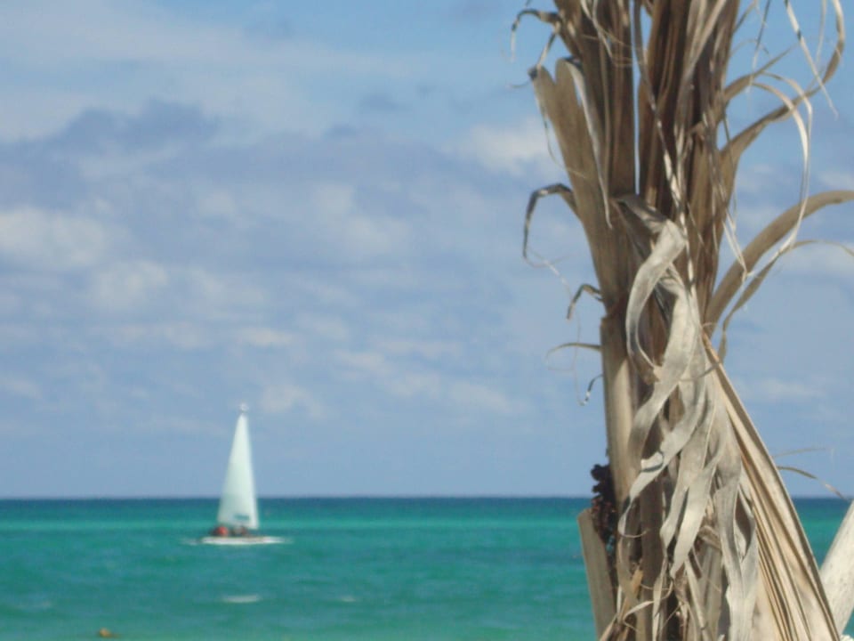 Hotel Catalonia Playa Maroma Catalonia Playa Maroma