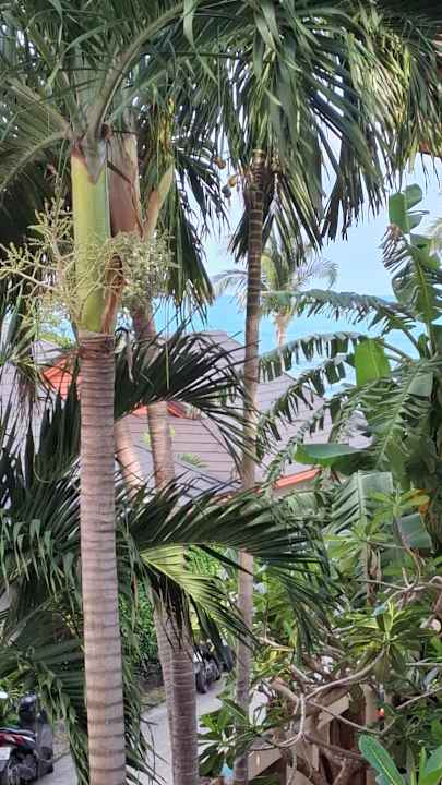 Sonstiges Thai House Beach Resort