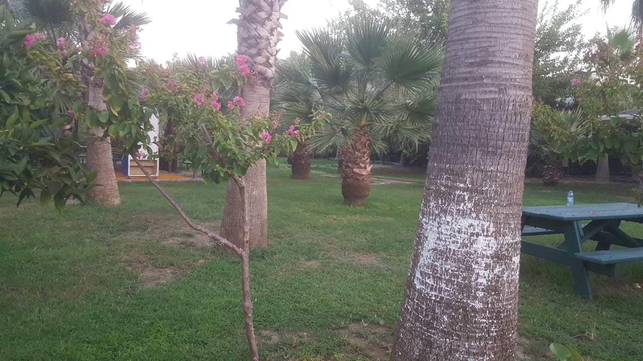 Sport & Freizeit Hane Family Resort