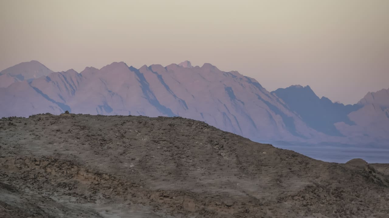 Ausblick Pickalbatros Citadel Resort