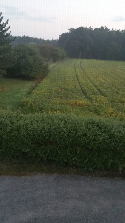 Ausblick Hotel-Restaurant Teuschler-Mogg