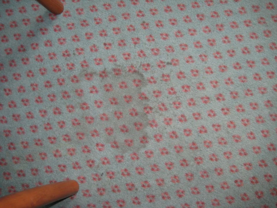 Teppichflecken Entrée Hotel Glinde