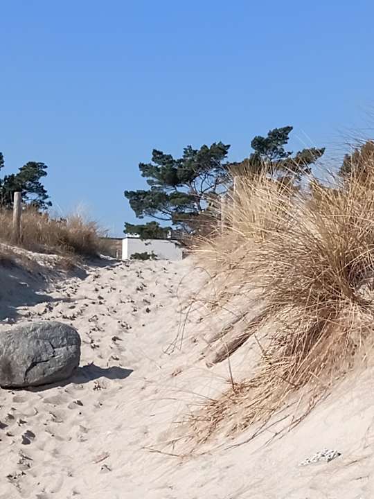 Ausblick Santé Royale Rügen Resort