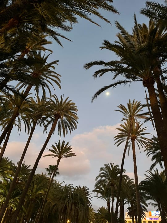 Außenansicht Hotel Riu Palace Oasis