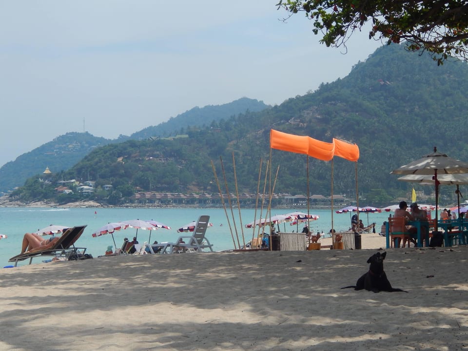 Fair House Beach Resort The Fair House Beach Resort