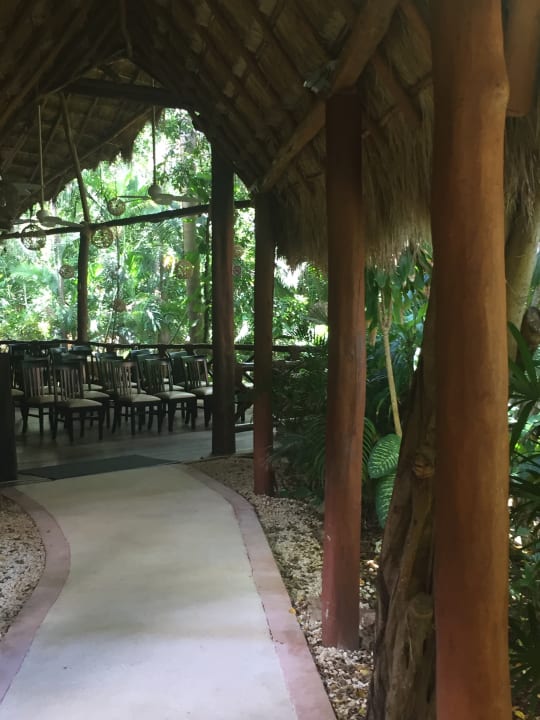 Gastro Viva Azteca by Wyndham - All Inclusive Resort