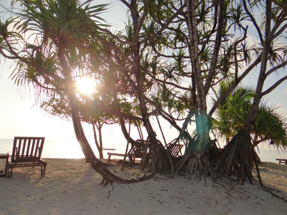 Strand Neptune Pwani Beach Resort & Spa