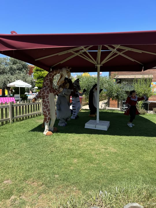 Sport & Freizeit Saturn Palace Resort Hotel