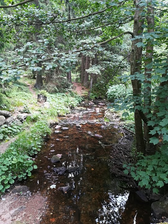 Sonstiges Relexa Hotel Harz-Wald