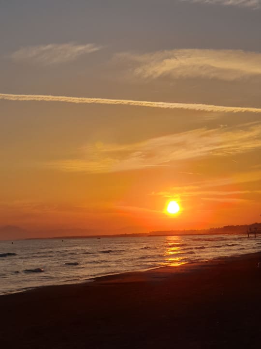 Strand Side Alegria Hotel & Spa - Adults only +16