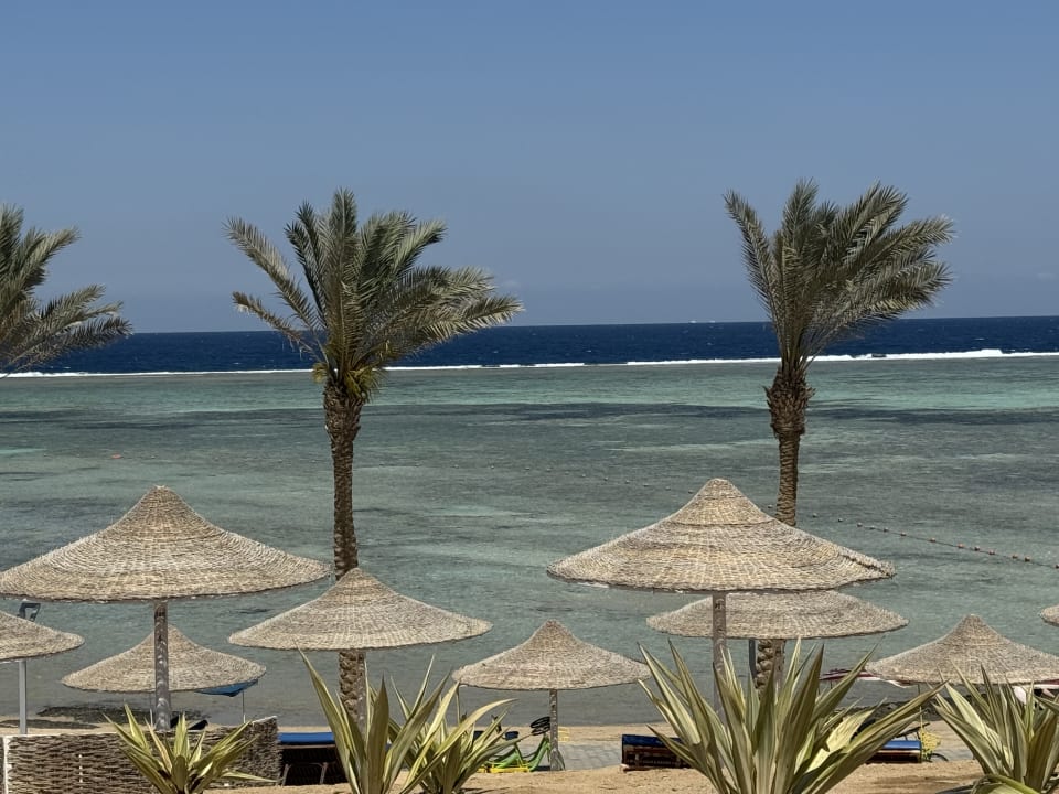 Ausblick Pickalbatros Vita Resort - Portofino Marsa Alam