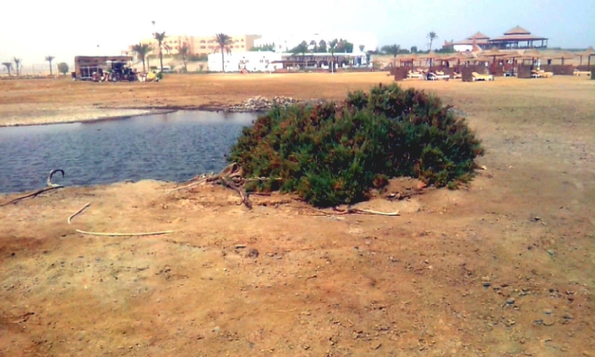 Strand Three Corners Equinox Beach Resort