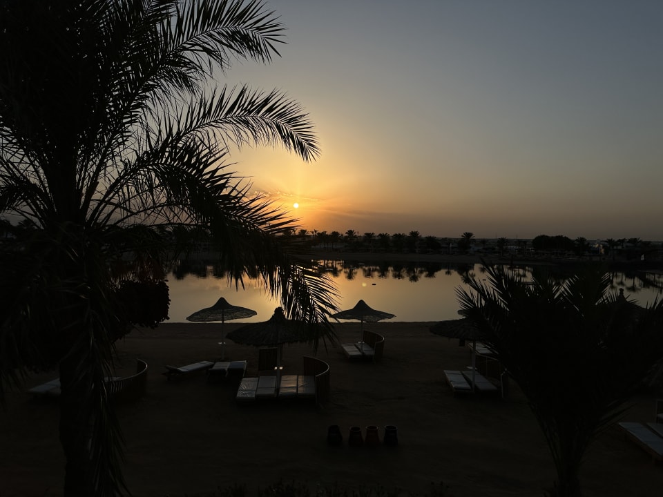 Ausblick Desert Rose