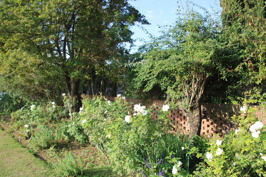 Gartenanlage Guesthouse Gerald's Gift