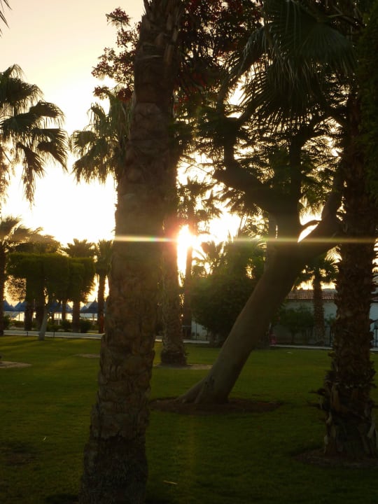 Sonnenaufgang an Strand The Grand Hotel Hurghada