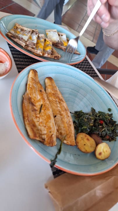 Gastro Arum Barut Collection