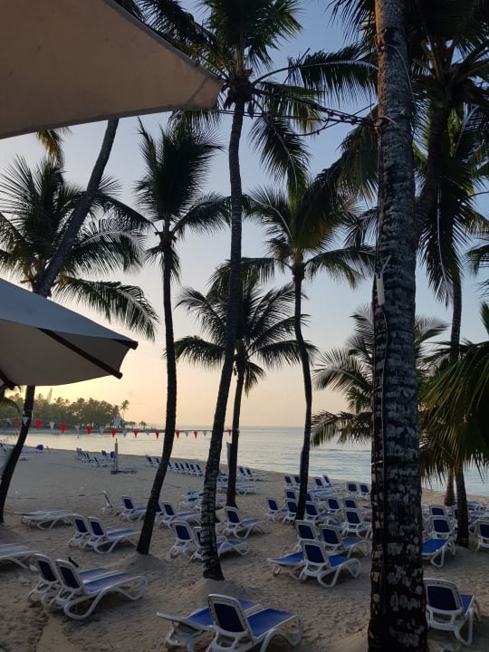 Strand Hotel Viva Dominicus Beach by Wyndham - All Inclusive Resort