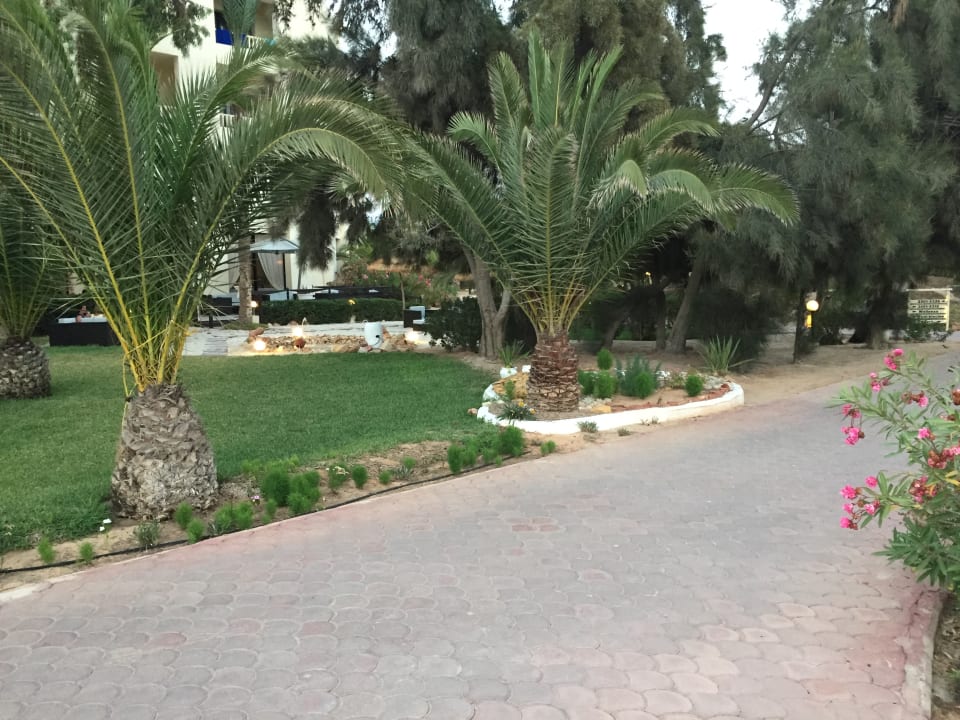 Gartenanlage Aldiana Club Djerba Atlantide