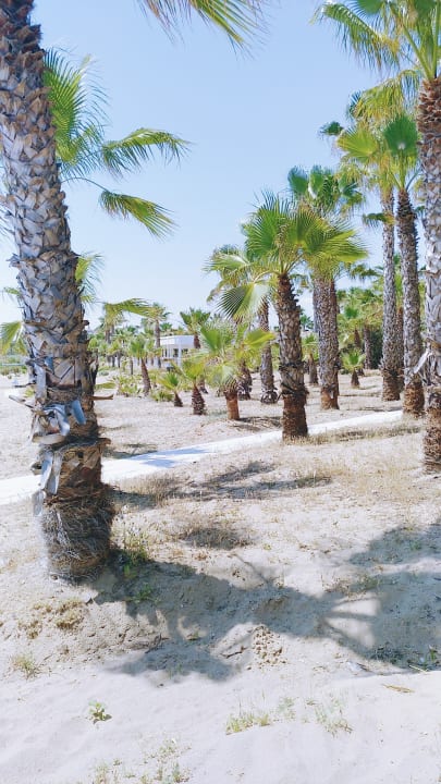 Weg zum Strand Club Grand Side