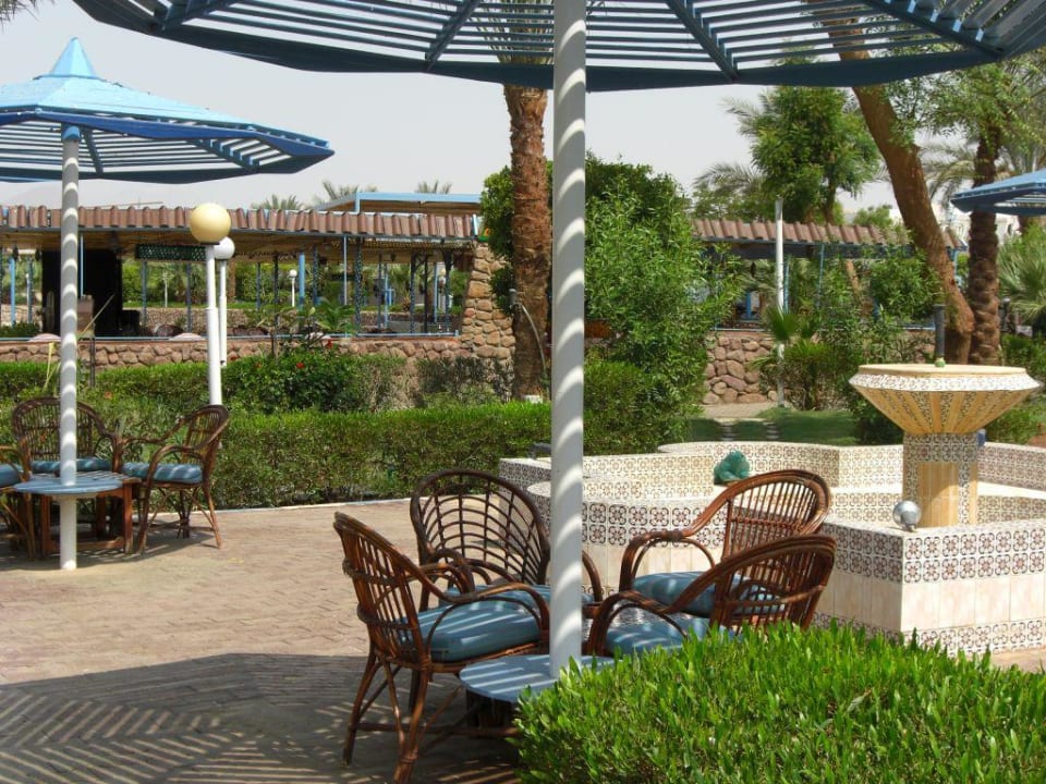 Garten Albatros Sharm Resort