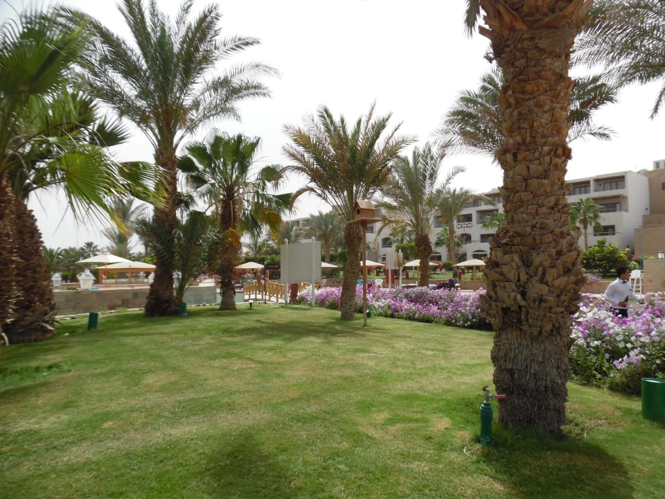 Gartenanlage Fort Arabesque Resort, Spa & Villas