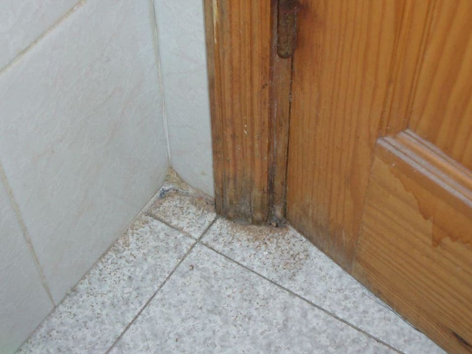 Tür in unserem Appartment Hotel Green Ocean