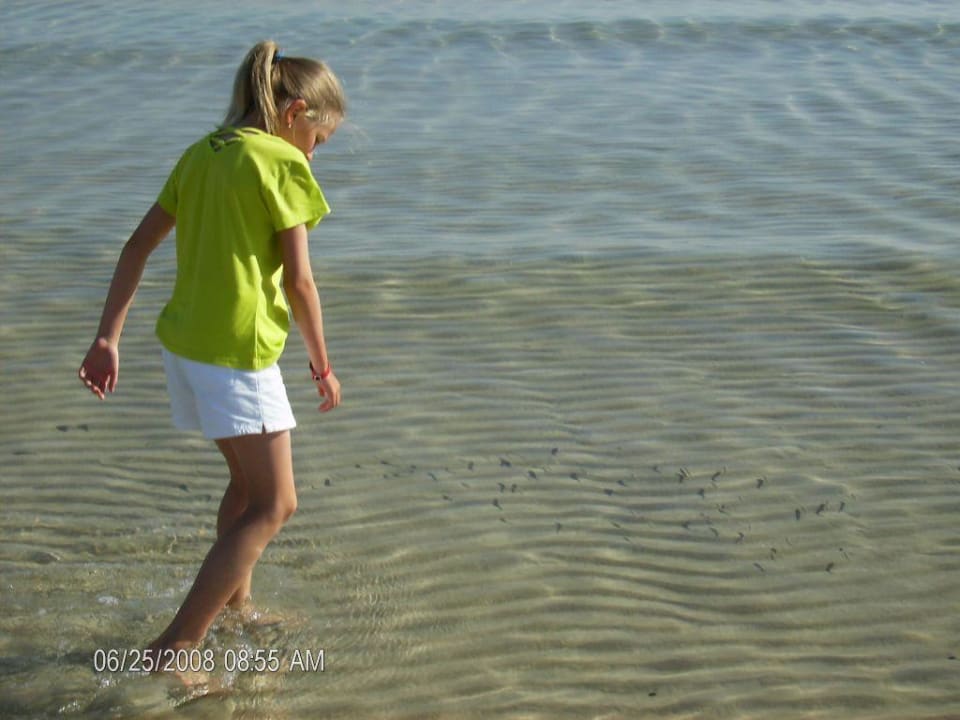 Rybki Ruspina Beach Resort