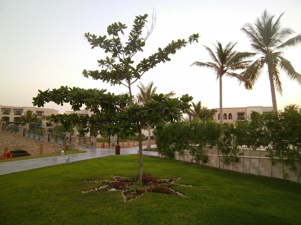 Nussbaum Salalah Rotana Resort