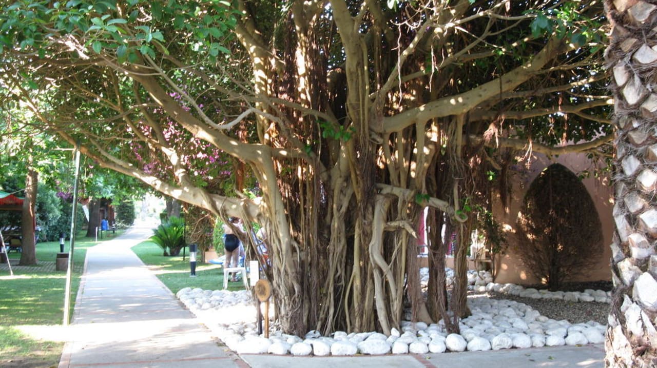 Die wunderschöne Gartenanlage Side Star Elegance