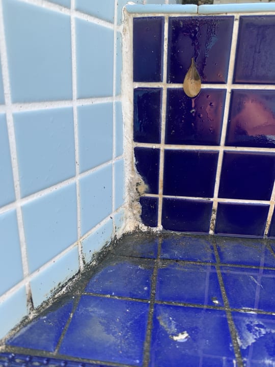 Pool Well Palace Side