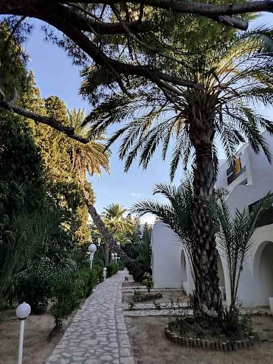 Gartenanlage Marhaba Royal Salem