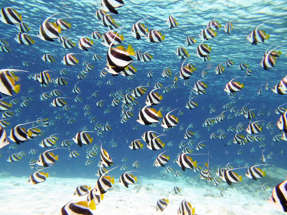Sport & Freizeit NH Collection Maldives Reethi Resort