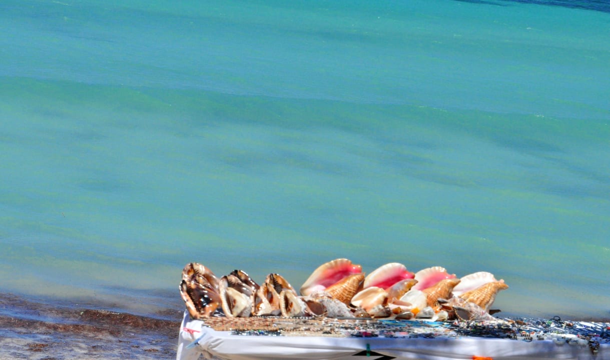 Ausflug,Traumstrand Marien Puerto Plata