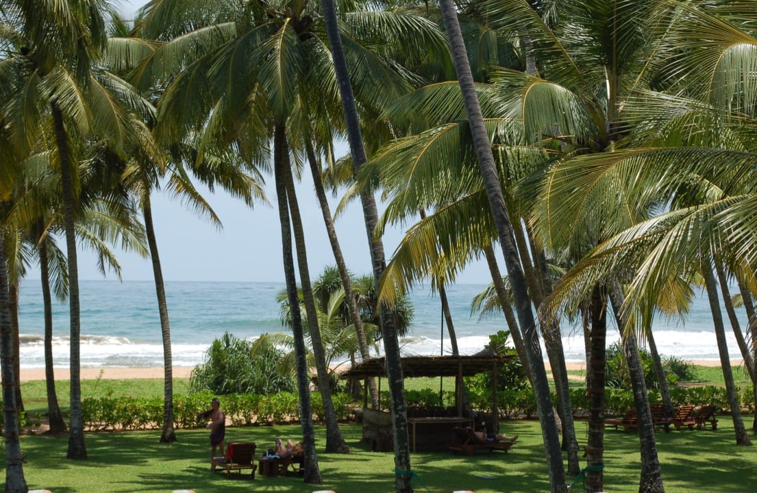 Blick vom Balkon Thaala Bentota